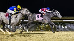 Great White, John Ennis, John Battaglia Memorial Stakes, Turfway Park, Alex Achard, America's Best Racing, ABR, horse racing